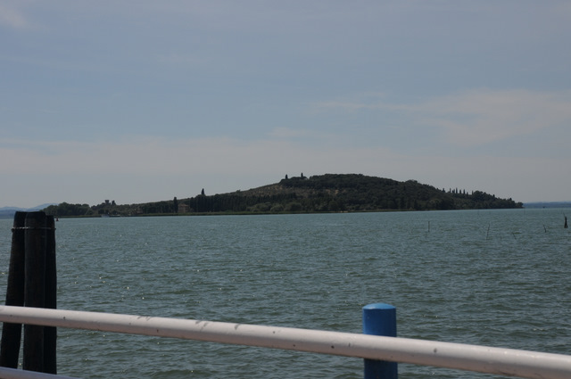 I Comitato Scientifico A.MI.Umbria