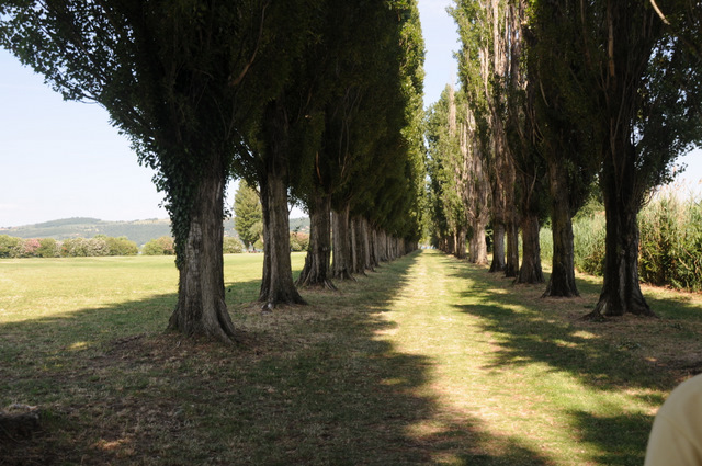 I Comitato Scientifico A.MI.Umbria