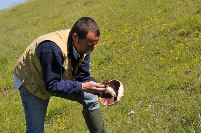 Altino con gli amici delle Marche