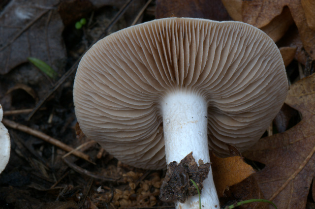 UN GIORNO CON GLI AMICI DEL FORUM