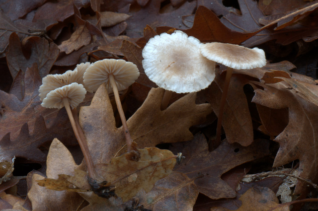 UN GIORNO CON GLI AMICI DEL FORUM