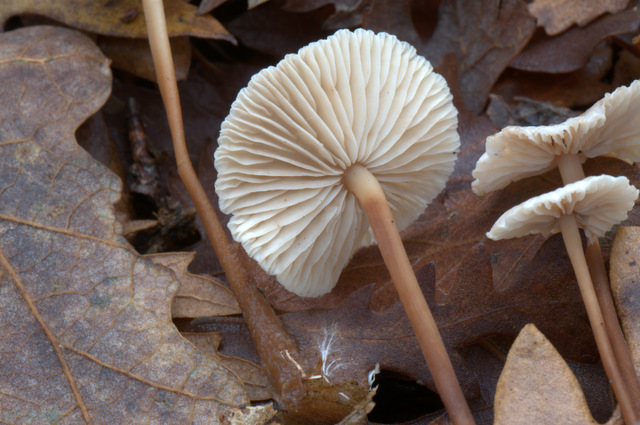 UN GIORNO CON GLI AMICI DEL FORUM