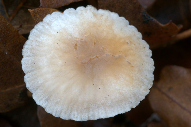 UN GIORNO CON GLI AMICI DEL FORUM