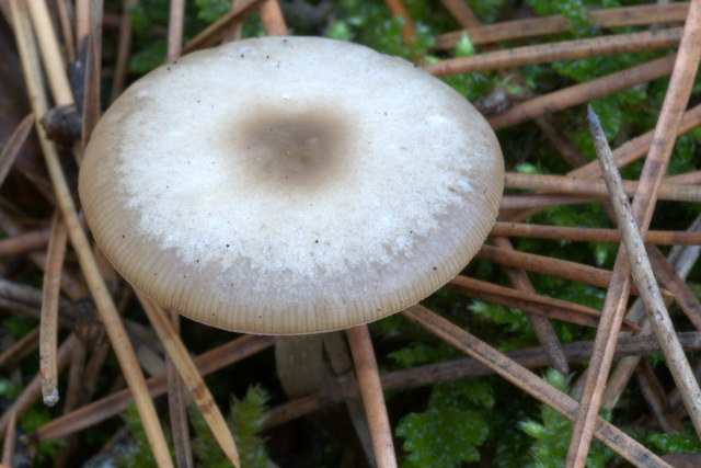 UN GIORNO CON GLI AMICI DEL FORUM