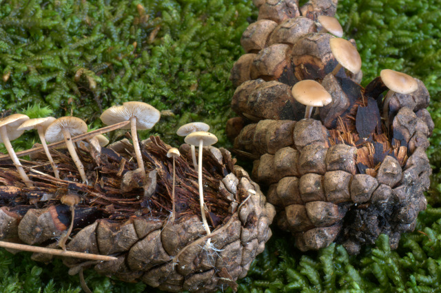 UN GIORNO CON GLI AMICI DEL FORUM