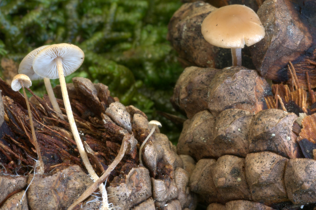 UN GIORNO CON GLI AMICI DEL FORUM