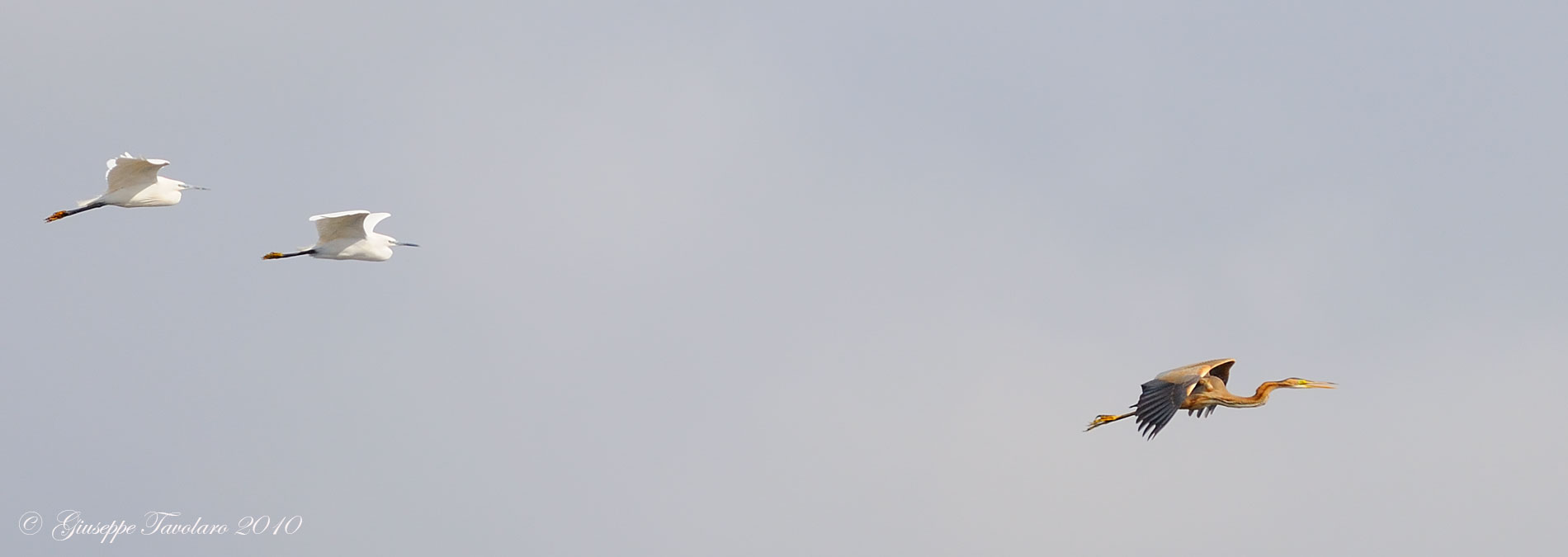 Inseguimento aereo.