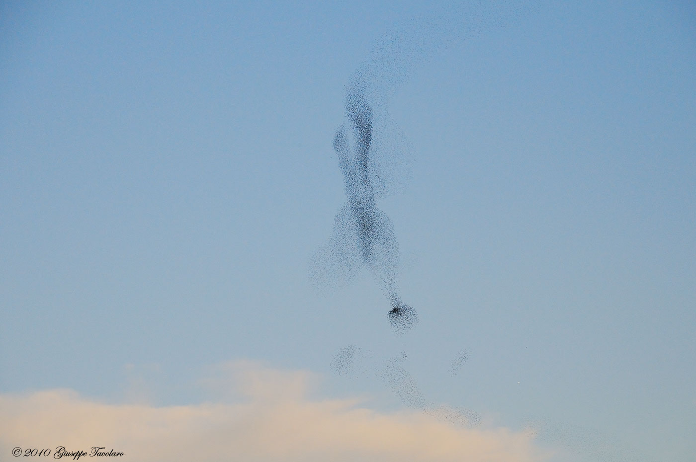 Evoluzioni al tramonto