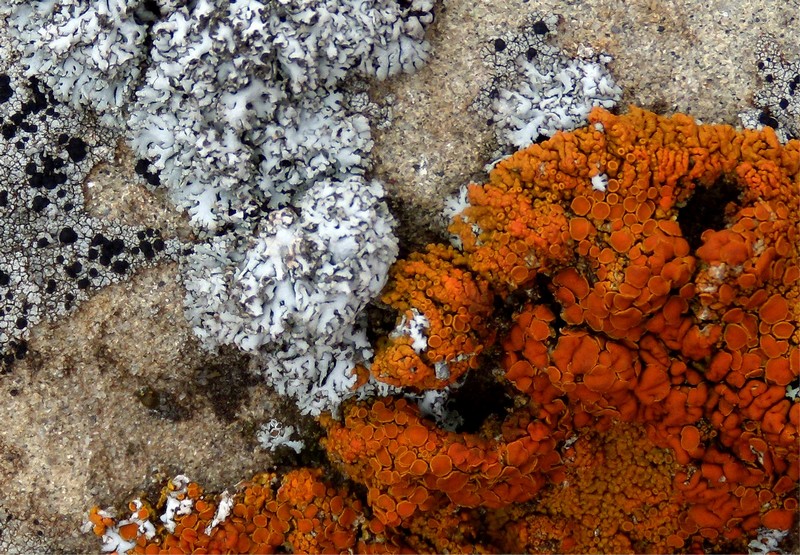 sull''arenaria della Laga 3