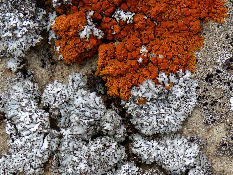 sull''arenaria della Laga 3