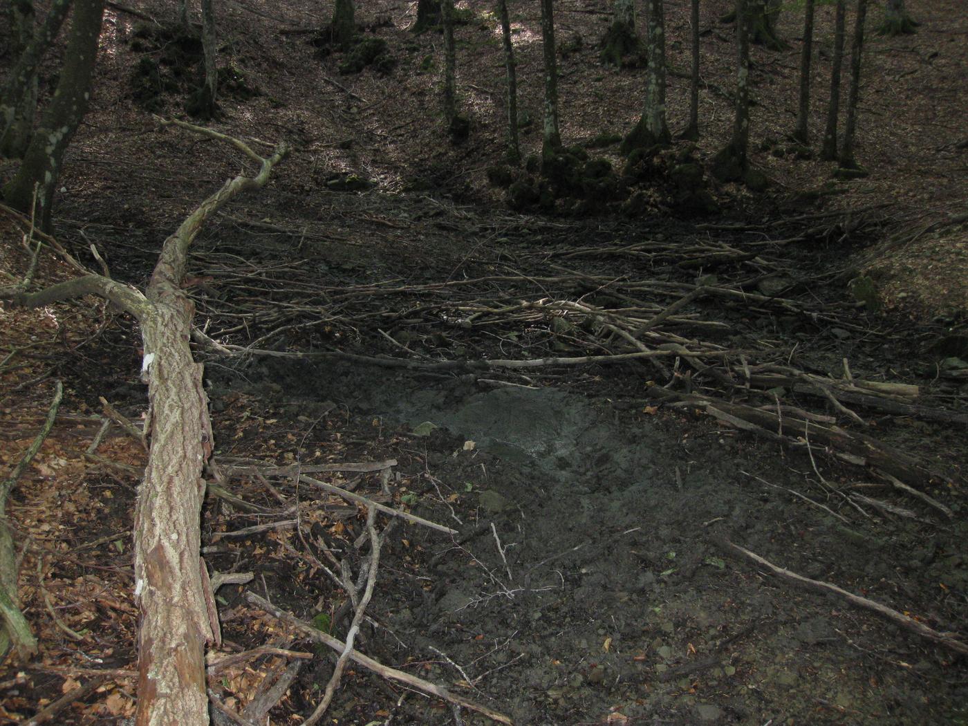grattatoi, insogli e fregoni