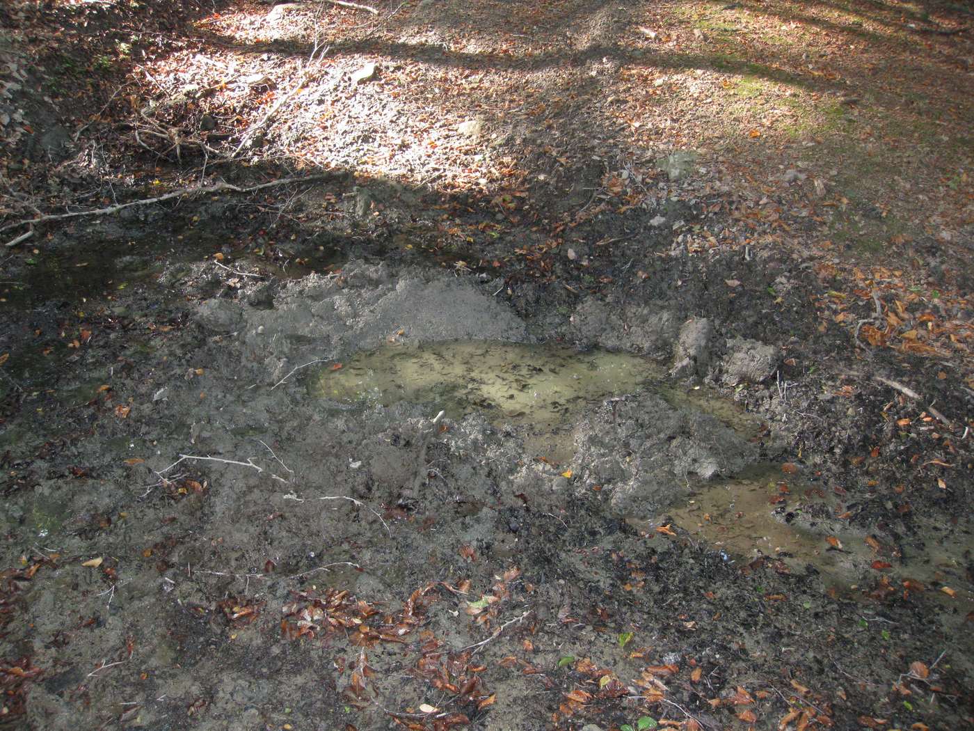 grattatoi, insogli e fregoni