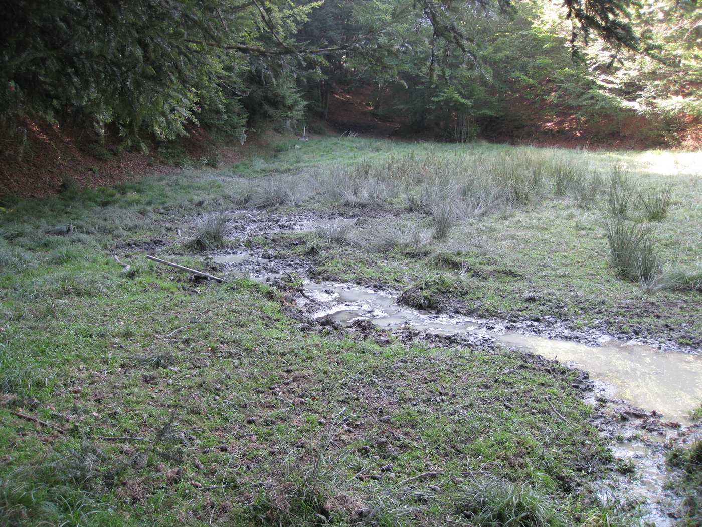 grattatoi, insogli e fregoni