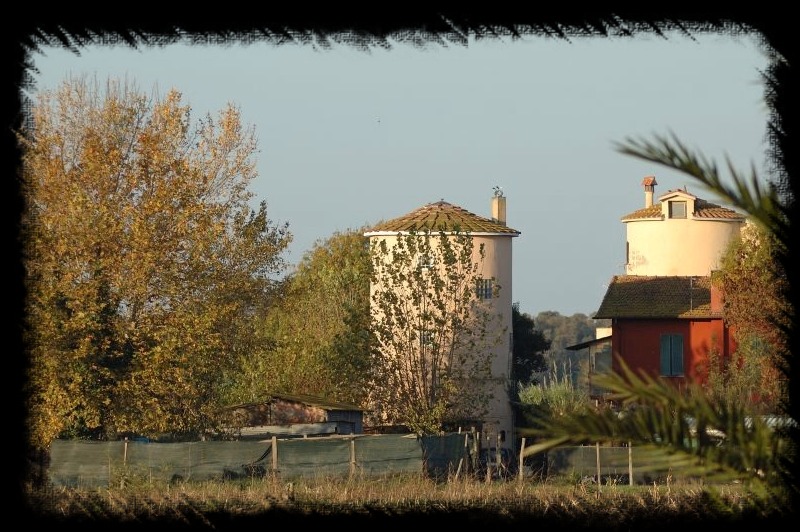 I silos di Maccarese