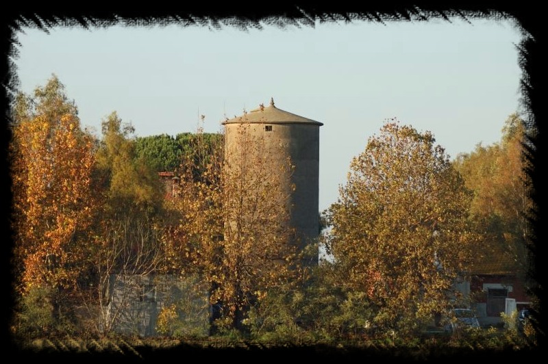 I silos di Maccarese