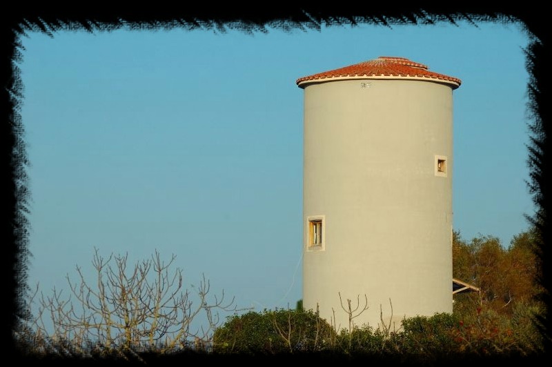 I silos di Maccarese