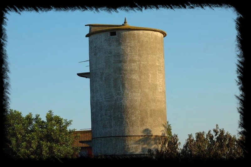 I silos di Maccarese