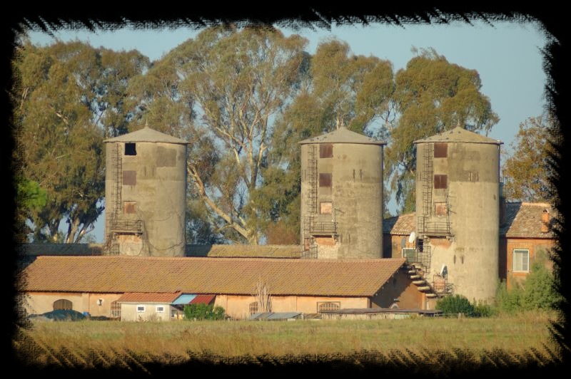 I silos di Maccarese