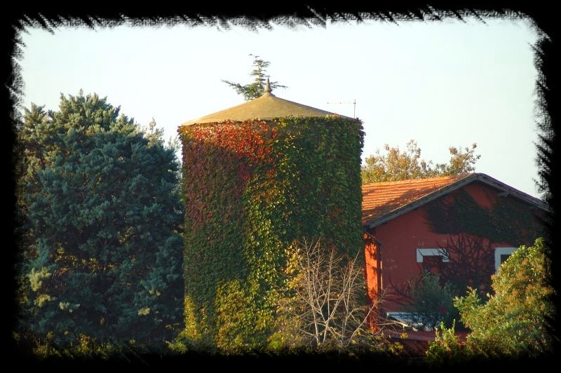 I silos di Maccarese