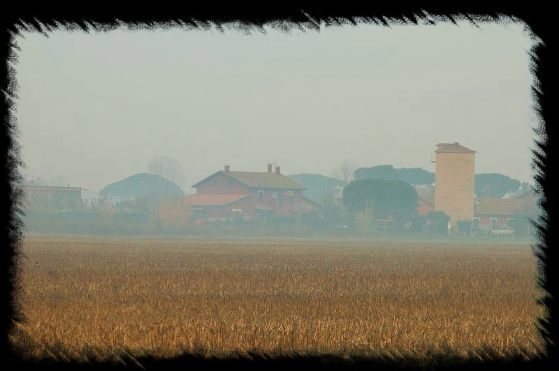 I silos di Maccarese