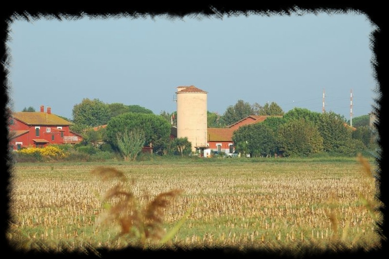 I silos di Maccarese