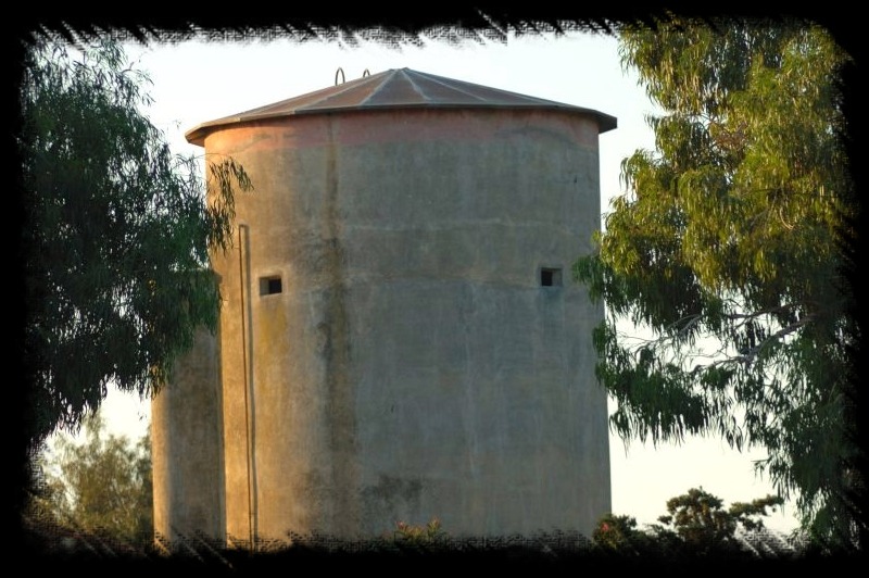 I silos di Maccarese