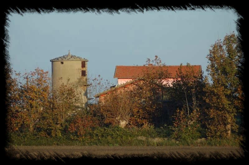 I silos di Maccarese