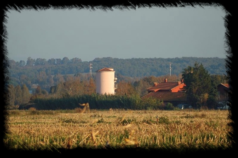 I silos di Maccarese