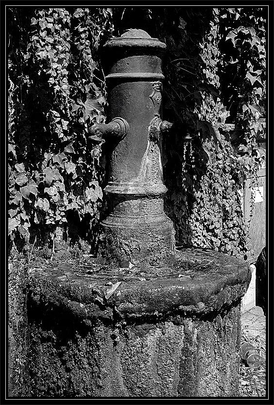 Roma in bianco e nero