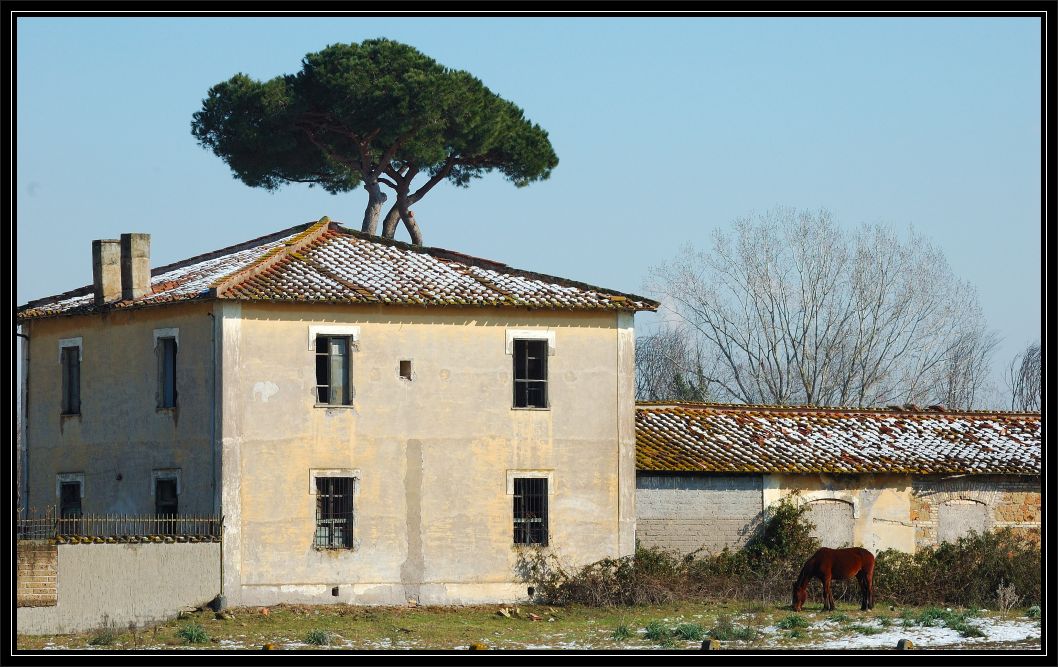 La mia Ostia
