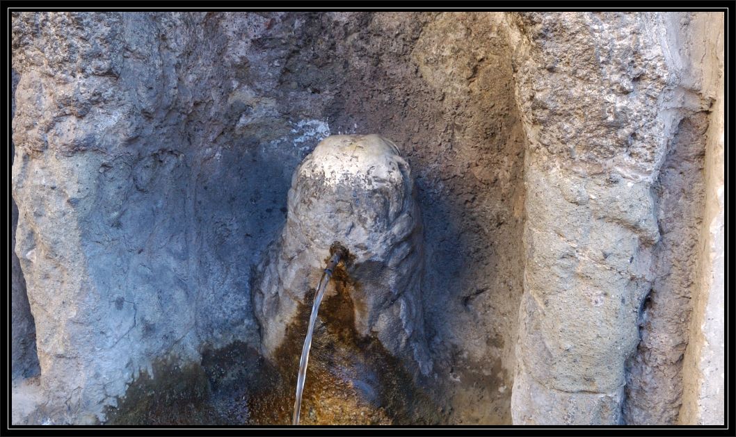Animali a Roma nello zoo di pietra