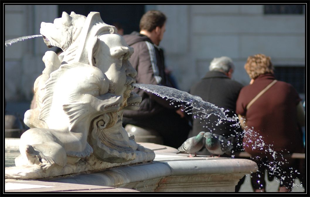Animali a Roma nello zoo di pietra