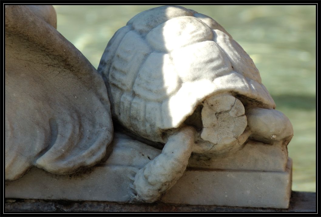 Animali a Roma nello zoo di pietra