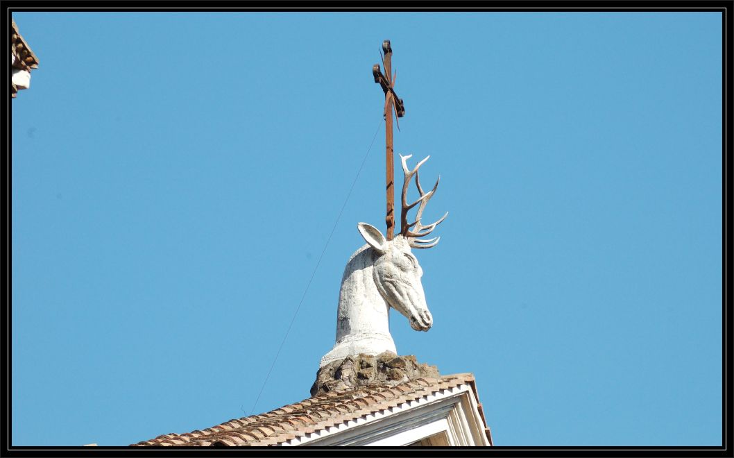 Animali a Roma nello zoo di pietra