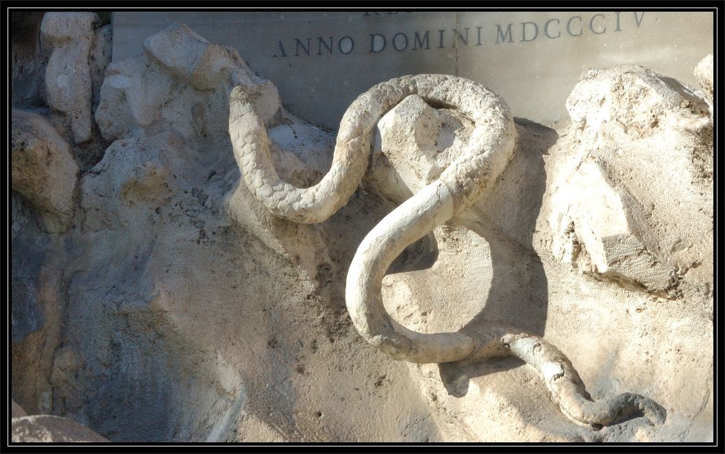 Animali a Roma nello zoo di pietra