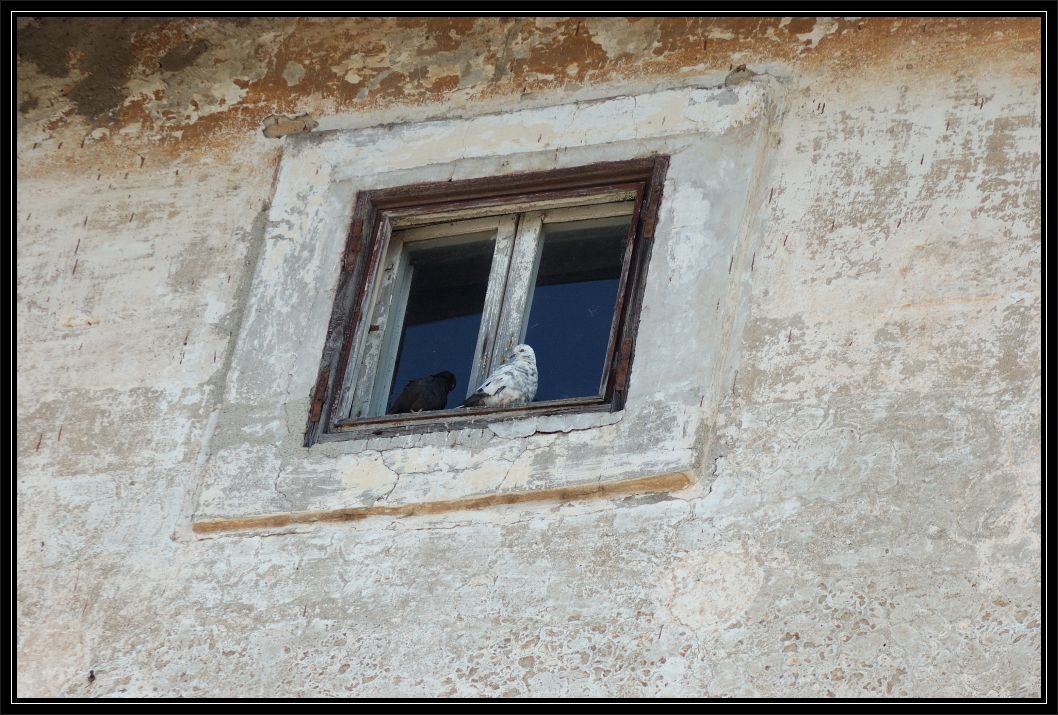 Il Castello di San Giorgio a Maccarese