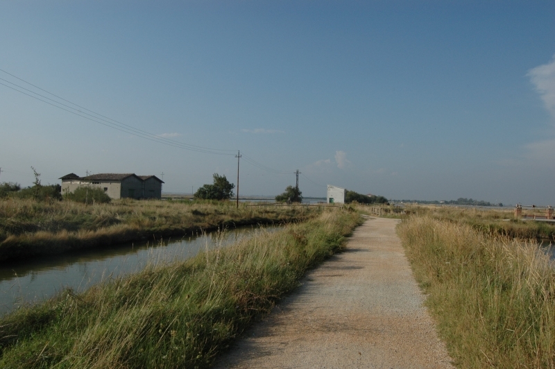 Cervia e le sue saline