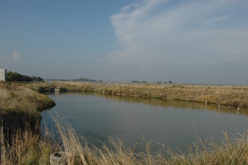 Cervia e le sue saline