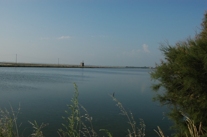 Cervia e le sue saline