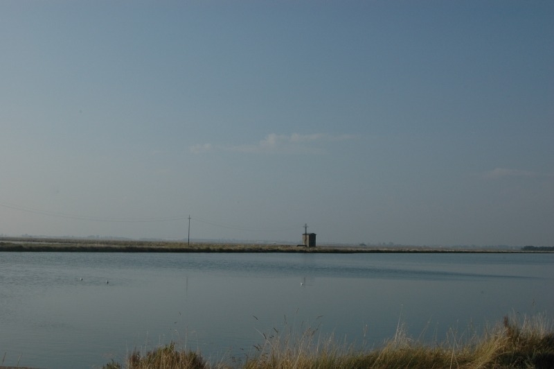 Cervia e le sue saline