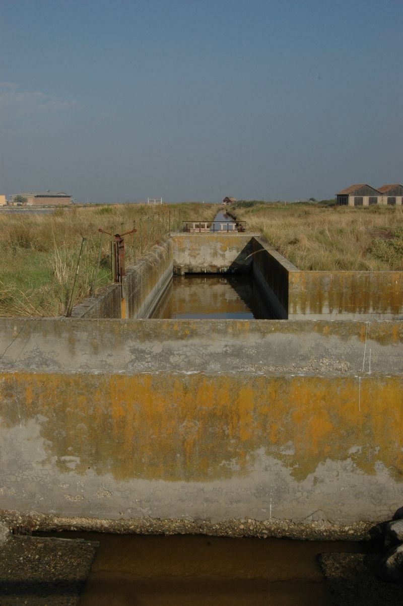 Cervia e le sue saline