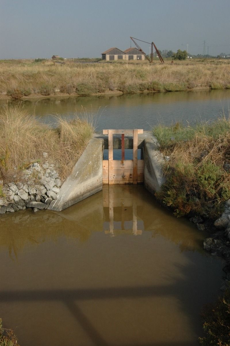 Cervia e le sue saline