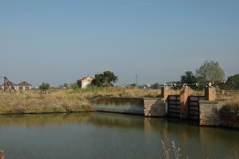 Cervia e le sue saline