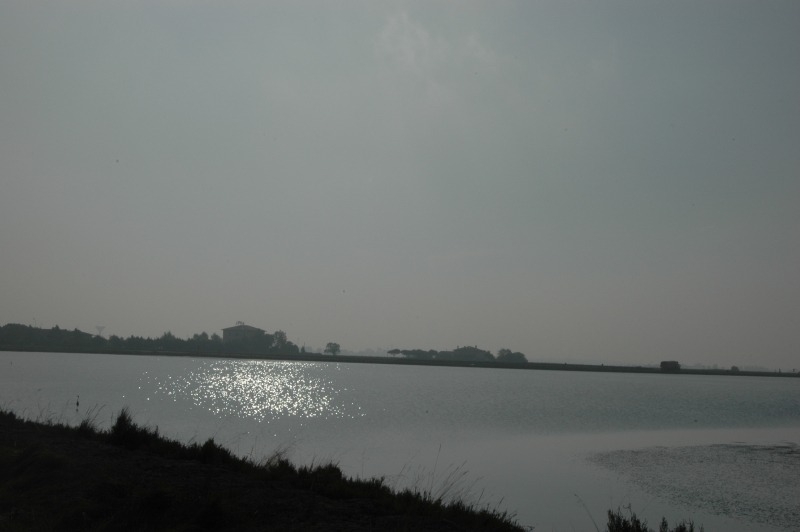 Cervia e le sue saline