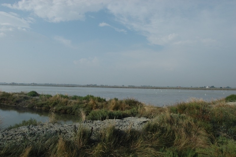 Cervia e le sue saline