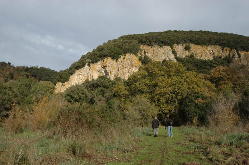 Incontro di Natura Mediterraneo a Roma (FOTO e VIDEO)