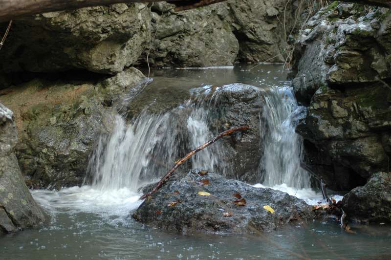 Incontro di Natura Mediterraneo a Roma (FOTO e VIDEO)