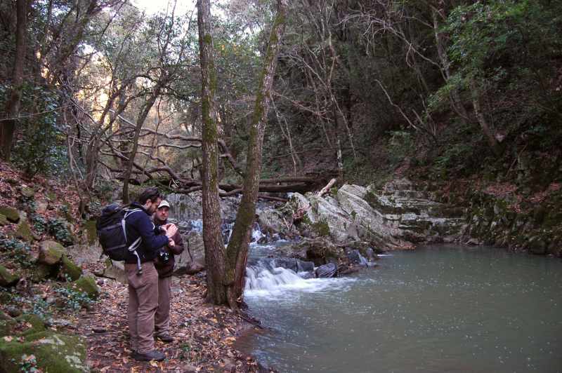 Incontro di Natura Mediterraneo a Roma (FOTO e VIDEO)