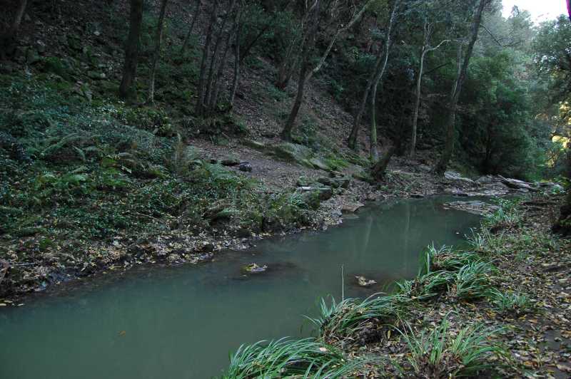 Incontro di Natura Mediterraneo a Roma (FOTO e VIDEO)