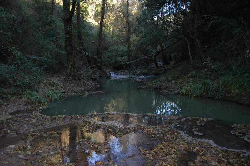 Incontro di Natura Mediterraneo a Roma (FOTO e VIDEO)